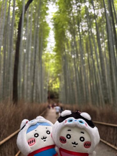 竹