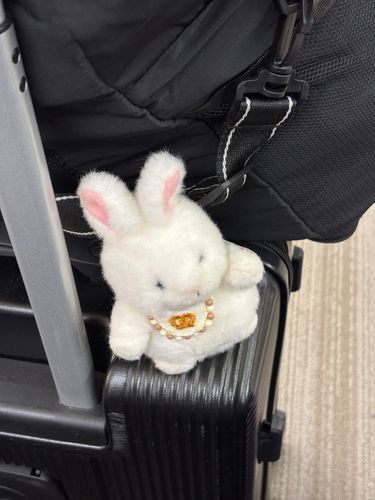 ✈️‼️



あざらし家、本国に帰るます！
日本で美味しいもの食べて家族もたくさん増えて楽しい一年でした🥹