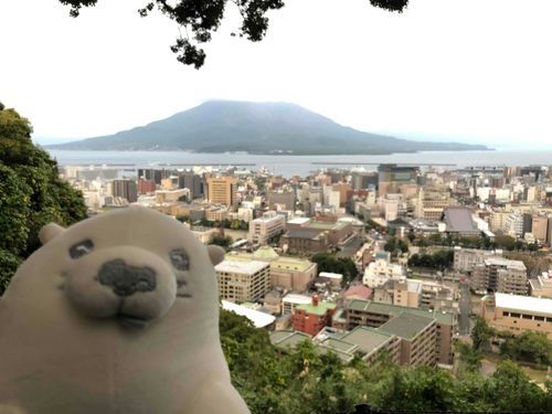まえに桜島をみにいったよ