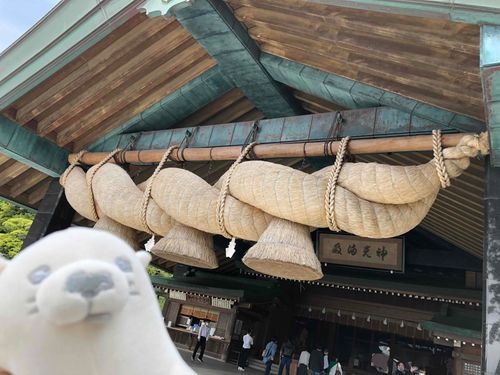 芦雪犬、はじめての旅の思い出