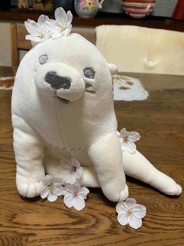 🐕🌸