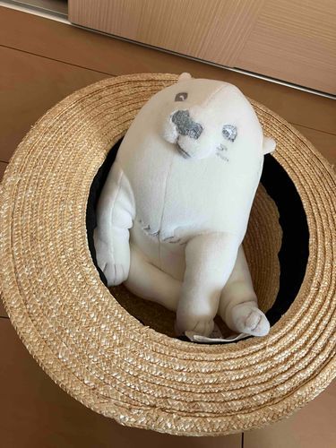 ひっこしをしたよ