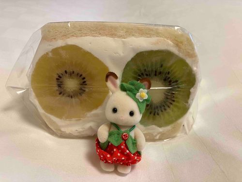 🥝ちょっとつぶれちゃった…🥝