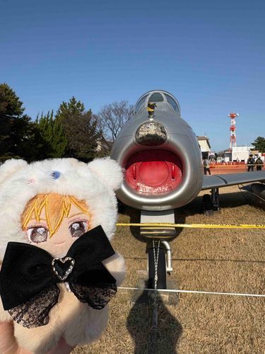 かおる「やっほ〜♪こんばんは、たんぽぽちゃんたち♪きょうはブルーインパルスをみにきたよ〜。ちなみにこのひこうきはブルーインパルスじゃないよ（笑）きょうはおてんきにもめぐまれてスモークがキレイにでていてすごかったんだよ！つぎまたいつやるかわからないけれど、こんどはもうすこしひとがすくないところでおちついてみたいかも〜……なんてね♪」