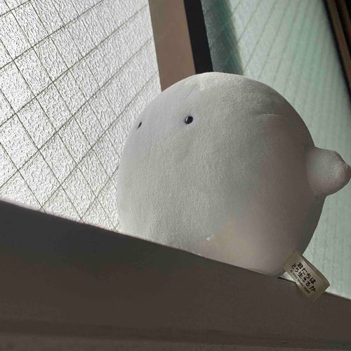雨音に耳を澄ませるわらわら