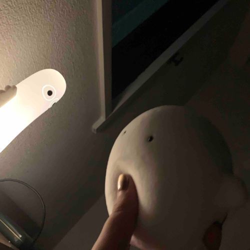 ニョロニョロの光に包まれるわらわら