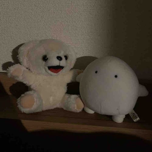 わらわらと新しいおともだち