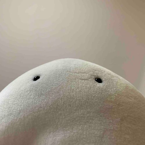 下からわらわら