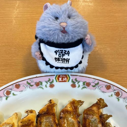 はむすた の ごっちゃん だよ