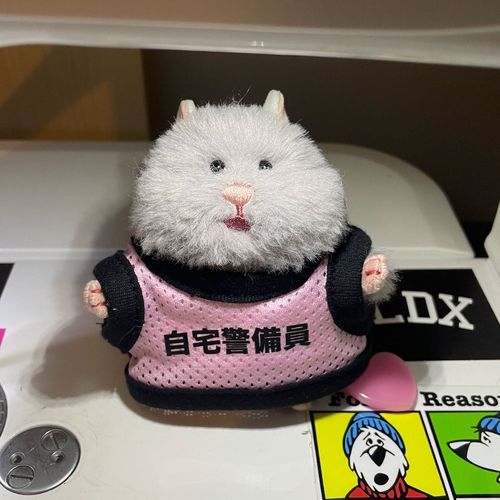 へんなふく きせられた！