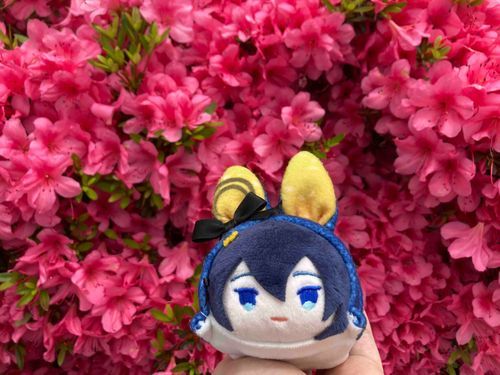 ツツジ、綺麗だ、な