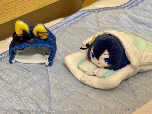 ち🛌💤(こみか)