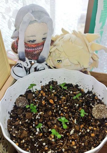 かんさつをしているうちに
め　が　へってきた
「いきもん、むずかし」