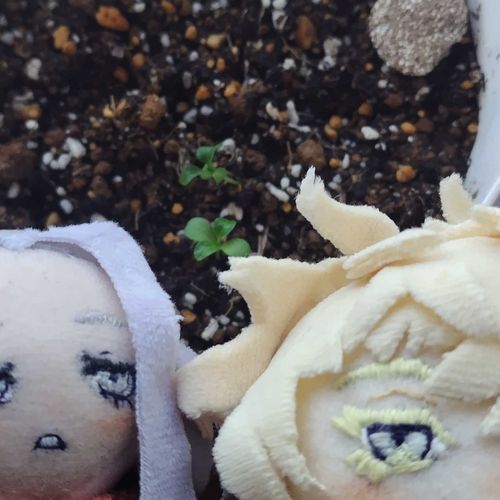 🌱
め
「め。」