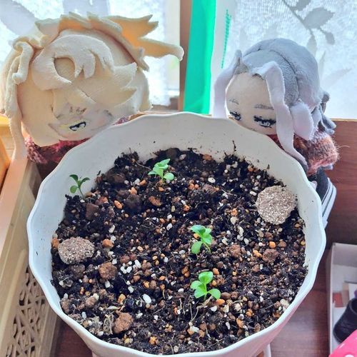 ちいさいながらに　は　が増えている
「えらい、えらい。」