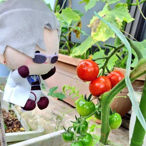 んま。