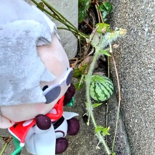 んま。