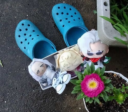 けいかかんさつ、ひとつめのはなが、ひらいた。かんむりょうだ。
「かぁいい、ね。」「んま。」