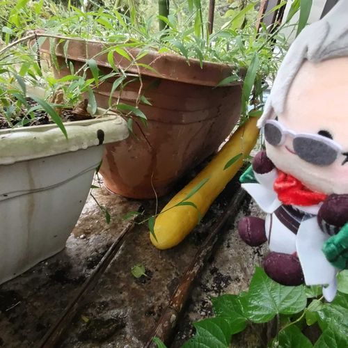 「んま…！？」