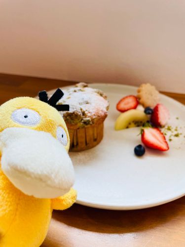 コダちゃん＆サルノリでカフェ❤︎
紅茶とブルーベリーのマフィン食べましたΨ( 'ч'  )