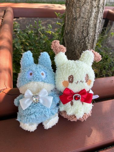 新しいお友達です！よろしくね✨