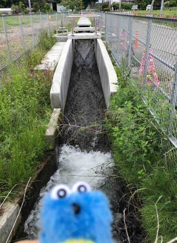 暑いから、水遊びしよう！