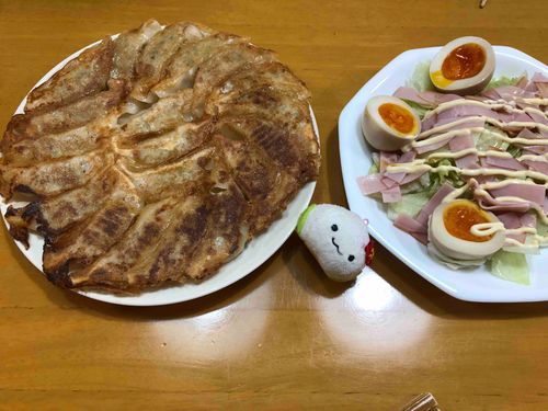 ギョウザとサラダ
サラダにはマヨネーズしか勝たん！