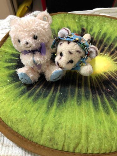 今日は投稿遅くなっちゃった😥ピノくんがこの前つくってもらった被り物！家庭科習ったばっかの時のだからちょっと縫い目が荒いけどかわいいなー
ちなみにキウイのやつはセリアで買ったらしいよー
じゃもう夜だからみんなおやすみ😴