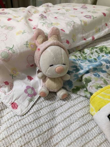 しばらくお休みもらってごめんね　最近忙しくて全然投稿出来なかった！
飾ってたはずのぐみちゃんがいなくなって…見つかったらまた投稿するねー　
この子は昔から居る子　名前はまだ無いんだ〜