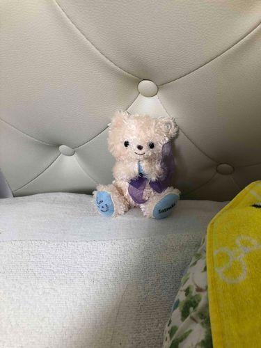 みんな〜久しぶり！　ずっとご主人の妹様のお部屋でかくれんぼしてたらねむくてずっと寝ちゃったの💦またちょこちょことーこーするね！