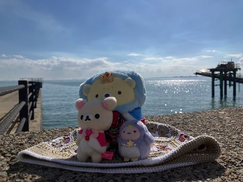 海に行きました🌊