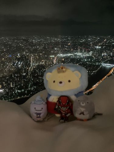 東京スカイツリーへ行きました🌌