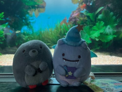 水族館へ行きました