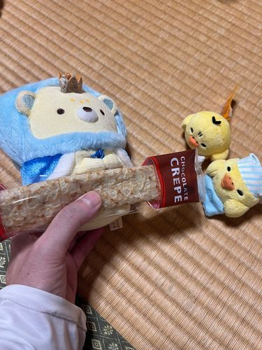 いつもお掃除をがんばってくれるおぴくんズに
おうじ☁️👑からチョコクレープの差し入れです

おうじ「これよかったら🍎」
🐥「ｱﾘｶﾞﾄｳ」
良かったですね‼︎おうじ🐑☁️👑🍪

#すみっコぐらし #リラックマ
