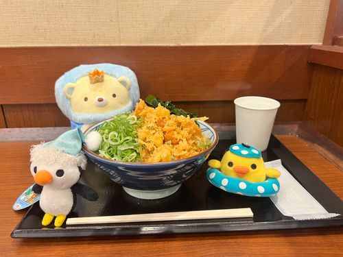 丸亀製麺を食べました
いつもお安いうどんにネギと揚げ玉をトッピングするのでケチな客だと思われてないか
ヒヤヒヤしてます
美味しかったです
ご馳走様でした
