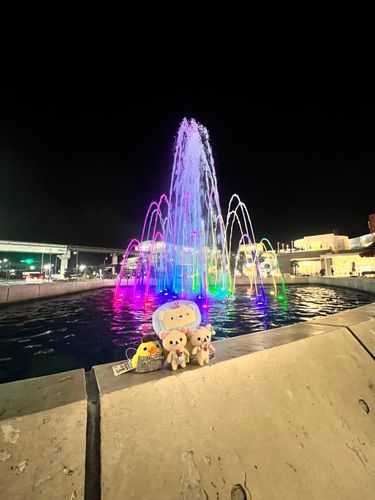 おはようございます
綺麗な噴水⛲️があったのでぬい撮りしました
ぬい活楽しいです

