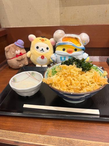 猫の病院で点滴を貰いに行った帰りに
みんなで丸亀製麺を食べました

