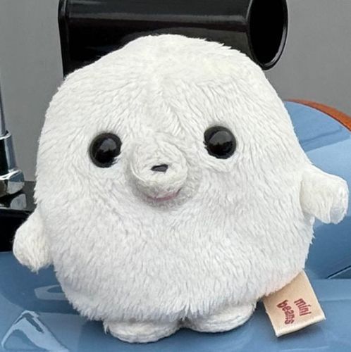 やあ！オレ、ドルバッキー
この世のキレイごとを暴きにやってきた子ザラシなんだ！

嘘つきはどこにいるざらし〜？🦭
