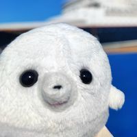 ﾄﾞﾙﾊﾞｯｷｰ
