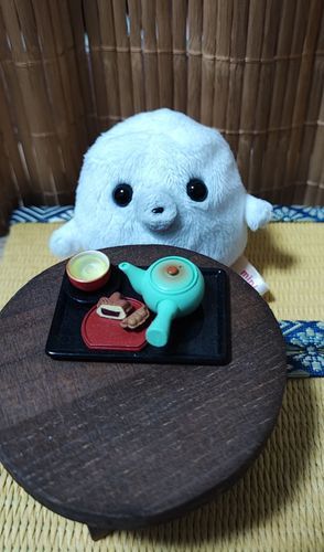 始めてみたけどメールアドレスが何故か登録できない…💦