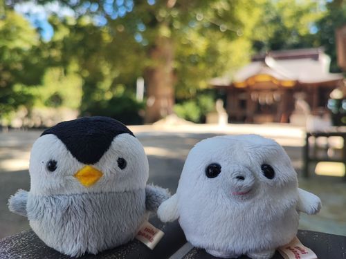 相方のペンとでかけた