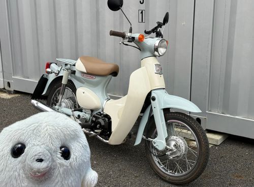 ツーリングいこうぜ🦭