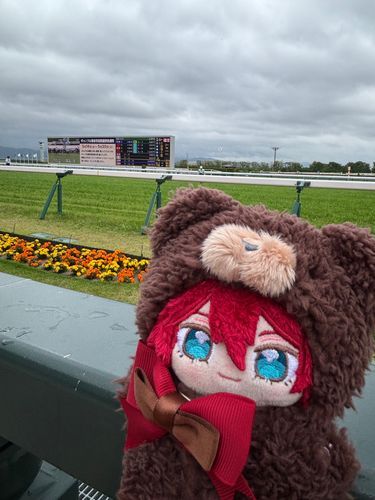 おれっちの去年の誕生日が日曜日だったから、競馬場につれて行ってもらったんだぜ🎶

天気は荒れてたけどよォ、久しぶりに行けて楽しかったなァ🎶