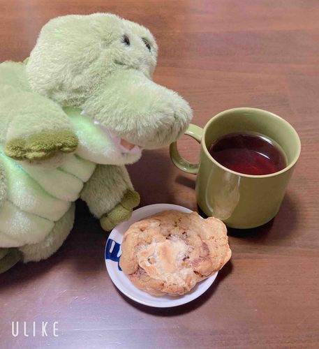 朝ごはんは昨日作ったクッキー🍪
甘いものには紅茶を合わせるのが最高なんだぜ🐊