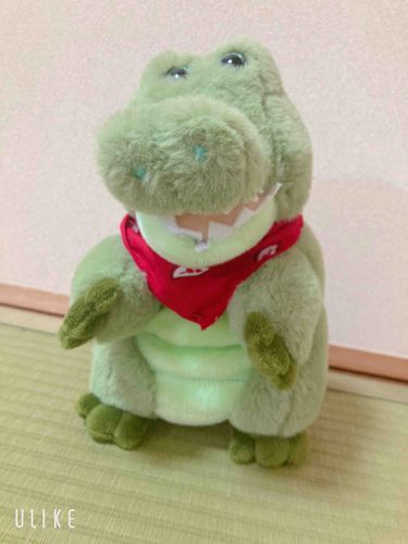 朝からチクチクスカーフを縫ってあげました
赤が似合うカッコいいワニだぜ🐊