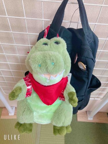 余ったバンダナで持ち運び用のハーネスをつくってあげた
これで何処へでもゆけるんだぜ🐊