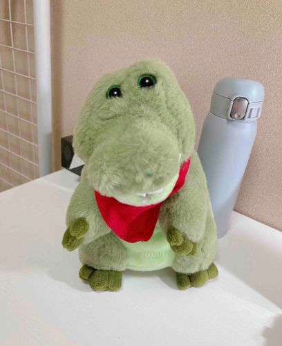 つかれてめそめそしてた私を慰めてくれてるように見つめてくるわーりーくん
いつも忙しそうにしてるからしんぱいしてるんだぜ🐊