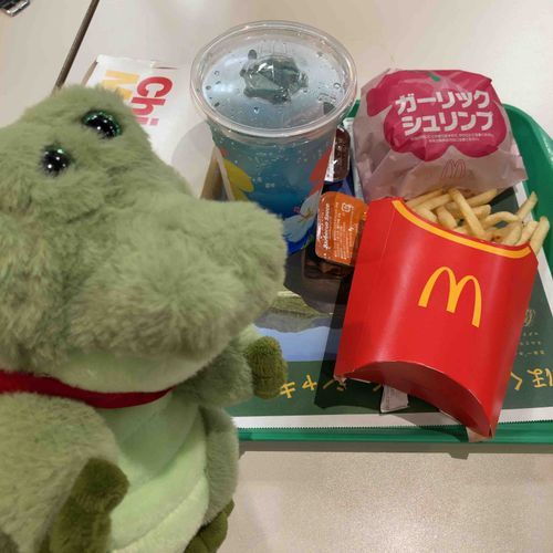 今日は期間限定のガーリックシュリンプバーガーが出たのでマックを食べに行きました
チーズとカレーのナゲットソースが美味しかったんだぜ🐊