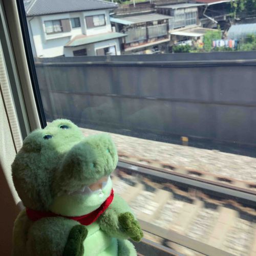 昨日から2泊3日の旅行に来ております
こののりもの速すぎるんだぜ🐊