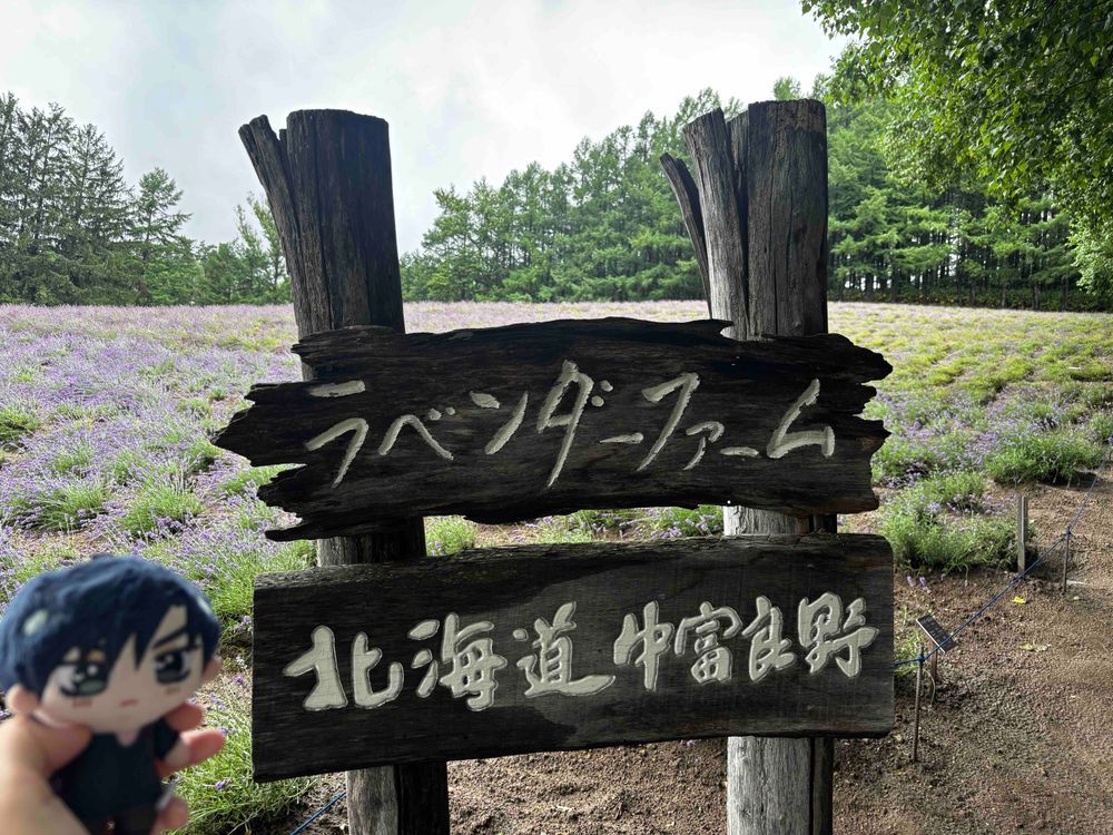 🦔：ラベンダーとてもきれいでそこらじゅうにいいにおいがじゅうまんしてたでしゅ✨️

🌹：心音も昨日のサッポロビール博物館といい、このラベンダー畑といい土産を沢山買っているな。
ラベンダーもとても綺麗だったが、
つい先程行った美瑛の青い池もとても綺麗だったよ。